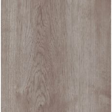 Oneflor Vinylová podlaha ECO 30 062 Noble Oak Greige - Lepená podlaha