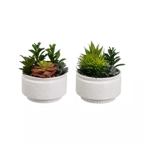 Umelé rastliny v súprave 2 ks (výška 19 cm) Cactus – Casa Selección