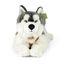 Rappa Plyšový husky s postrojem 60 cm ECO -FRIENDLY
