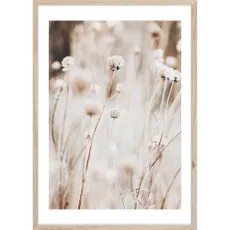 Obraz 50x70 cm Beige I – Styler
