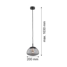 Argon 4333 - Luster na lanku TRINI 1xE27/15W/230V pr. 20 cm čierna
