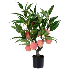 Ambia Home UMELÁ RASTLINA broskyňa 71 cm
