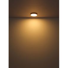 Globo 12381-15 - LED Stropné svietidlo TIBEY LED/15W/230V pr. 25 cm