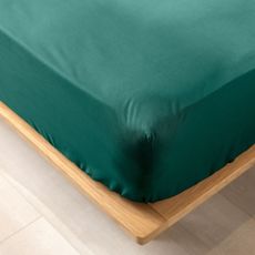 Zelená napínacia plachta z Bio bavlny 180x200 cm Biolina – douceur d'intérieur