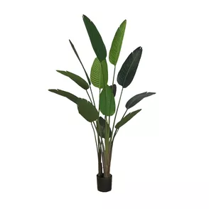 Artificial pot plant Strelicja 220cm