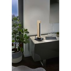 Eglo 99295 - LED Stmievateľná stolná lampa CAMACHO LED/6,5W/230V