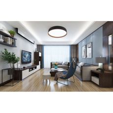 Top Light - LED Stmievateľné stropné svietidlo LED/51W/230V + DO čierna/hnedá