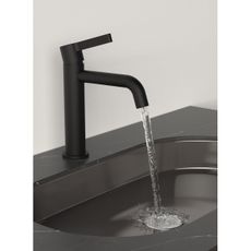 Sapho - Umývadlová batéria ICONIC 18,7 cm matná čierna