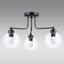 Luster Selena C3 Transparent-Ap-See 273TR LW3