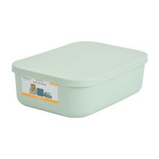 Svetlozelený plastový úložný box s vekom 24x18x8 cm – Homéa