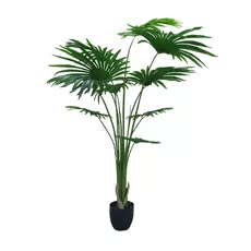 Artificial plant Washingtonia Robusta 220cm