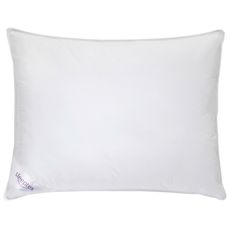 Sleeptex VANKÚŠ, 70/90 cm