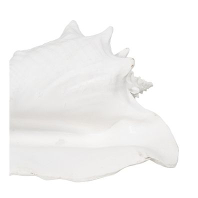 Soška z polyresínu (výška 13 cm) Seashell – Ixia