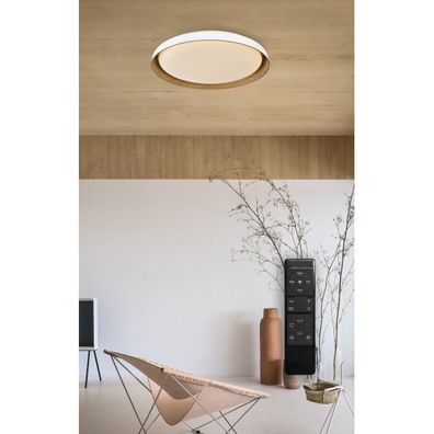 Top Light-LED Stm. stropné svietidlo SATELLITE LED/36W/230V 3000-6500K biela + DO