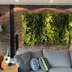 Vertical garden Hanging Gardens