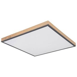 Globo LED PANEL, 59/59/6,5 cm