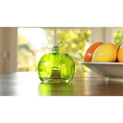 Sklenené lapače hmyzu v súprave 2 ks Apple – Esschert Design