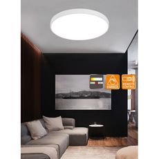 Top Light Metal 60B RC - LED Stmievateľné stropné svietidlo LED/60W/230V DO