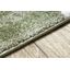 Dywany Łuszczów , Detský kusový koberec Fun Pets multi, 200x290, viacfarebná, detská izba