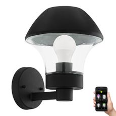 Eglo 97446 - LED Stmievateľné vonkajšie svietidlo VERLUCCA-C 1xE27/9W/230V IP44 BT