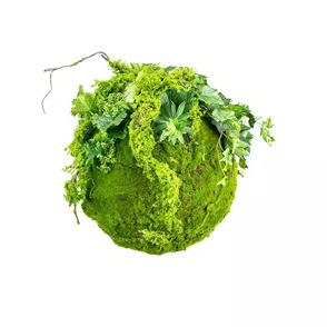 Hanging Moss Ball 35cm