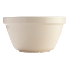 Biela kameninová misa Mason Cash Basin, ⌀ 22 cm