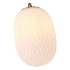 Luster na lanku 1xE14/25W/230V biela pr. 15 cm