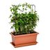 Gardenico Vertikálna podpera Green Wall Magnus, 80 cm