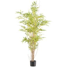 Umelá rastlina Bambus, 150 cm, zelená