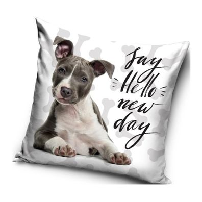 Vankúš s Pitbullom - motív Say hello new day - Pozdrav nový deň - 40 x 40 cm