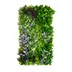 Vertical garden Vineyard