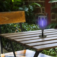 LED Solárny lapač hmyzu LED/1,3W/3,7V IP24 20 m²