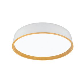 XXXL STROPNÉ LED SVIETIDLO, 40/8 cm