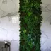 Vertical garden Botanic Bush