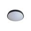 LED Stropné svietidlo WILTON LED/24W/230V 4000K pr. 38 cm čierna