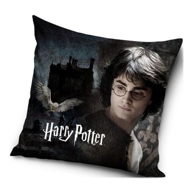 Vankúš Harry Potter - 40 x 40 cm
