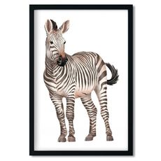 Pastelowe Love Plagát ZEBRA do detskej izby Zvoľte rozmer: 20 x 30 cm