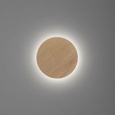 Paul Neuhaus 8152-79 - LED Stmievateľné nástenné svietidlo PUNTUA LED/1W/3,7V + DO