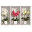 Sada 3 3D samolepiek na stenu Ambiance Orchids
