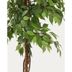 Umelý fikus (výška 180 cm) Ficus – Kave Home