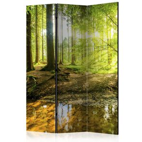 Paraván Forest Lake Dekorhome 135x172 cm (3-dielny)