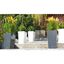 Gardenico Kvetináč Elise matt bílá, 30 x 58 cm, 30 cm