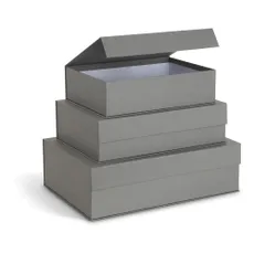 Sivé kartónové úložné boxy v súprave 3 ks s vekom/dekoratívne 42,5x29,5x13 cm Kian Paper Laminate – Bigso