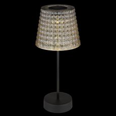Globo 36634-2S - SADA 2x LED Solárne svietidlo SOLAR LED/0,06W/3V IP44 šedá