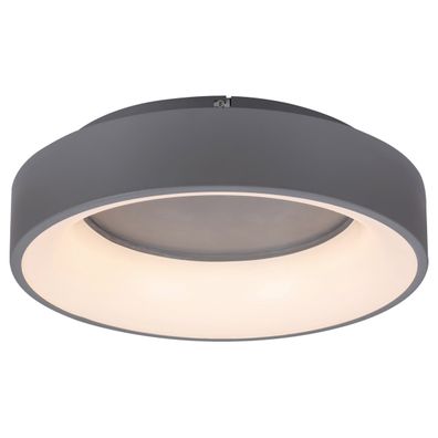 Rabalux - LED Stmievateľné stropné svietidlo LED/24W/230V zaokrúhlený 3000-6000K + DO