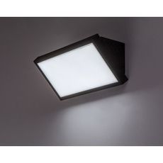 Rabalux 77150 - LED Vonkajšie nástenné svietidlo RAPLA LED/18W/230V IP65