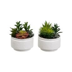 Umelé rastliny v súprave 2 ks (výška 19 cm) Cactus – Casa Selección