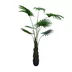 Artificial plant Washingtonia Robusta 180cm