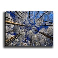 Wallity Obraz TREETOPS 70 x 100 cm