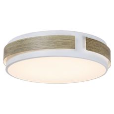Rabalux 5646 - LED Stmievateľné stropné svietidlo SALMA LED/24W/230V